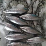 canne da pesca spinning tuna usato