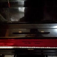 pianoforte digitale technics usato