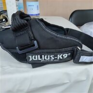 julius k9 usato