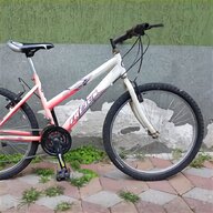bicicletta frejus usato
