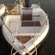 barca tripesce usato