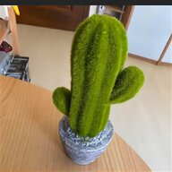 cactus finto usato