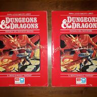 manuali dungeons dragons usato