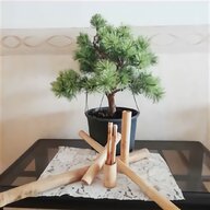 set vasi bonsai usato
