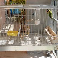 pappagalli gabbia usato