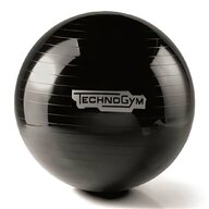 wellness ball technogym usato