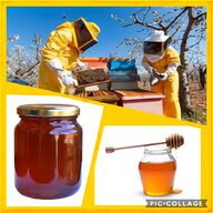 miele biologico usato