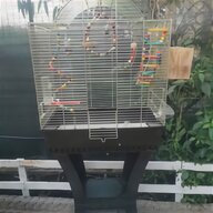 gabbia pappagalli bologna usato