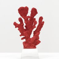 ramo corallo rosso usato