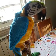 trespolo pappagallo usato