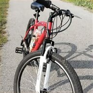 bicicletta bologna usato