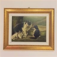 dipinto gatti usato