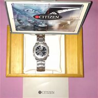 citizen promaster orologio usato