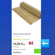 bambu piante usato