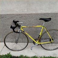bici faggin usato