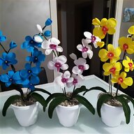 vasi cinesi piante usato