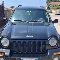 jeep cherokee fanale usato