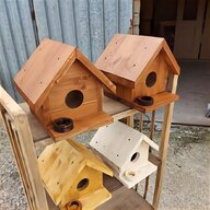 casette per uccelli usato