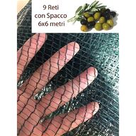teli raccolta olive spacco usato