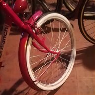 bici donna milano usato