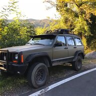 jeep willys usato