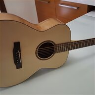 chitarra acustica amplificata eko usato