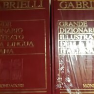grande dizionario lingua italiana usato