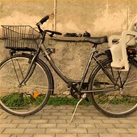 bici elettrica seggiolino usato