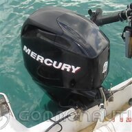 elica mercury 4 cv usato