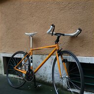 bici kawasaki usato
