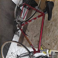bici corsa torino usato