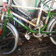 bicicletta graziella bologna usato
