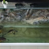 acquari tartarughe usato