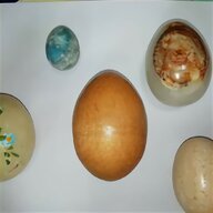 uova collezione usato