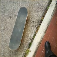 skateboard 2 ruote firenze usato