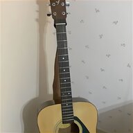 chitarra 12 corde usato