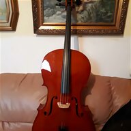 case violino usato
