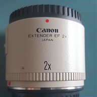 canon 300 f2 8 usato