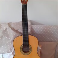 chitarra firebird usato