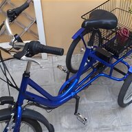 triciclo carica usato