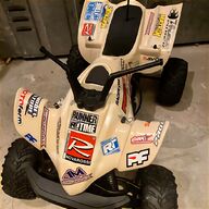 gokart racing in vendita usato