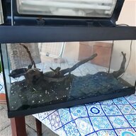 acquario plafoniera usato