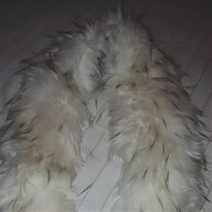 pelliccia volpe bianca usato