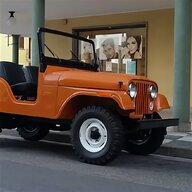 jeep willys agricola usato