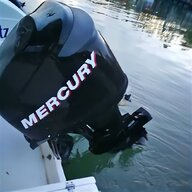 mercury 115 4t usato