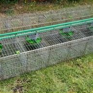 gabbia per conigli usato