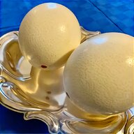 oca uova usato