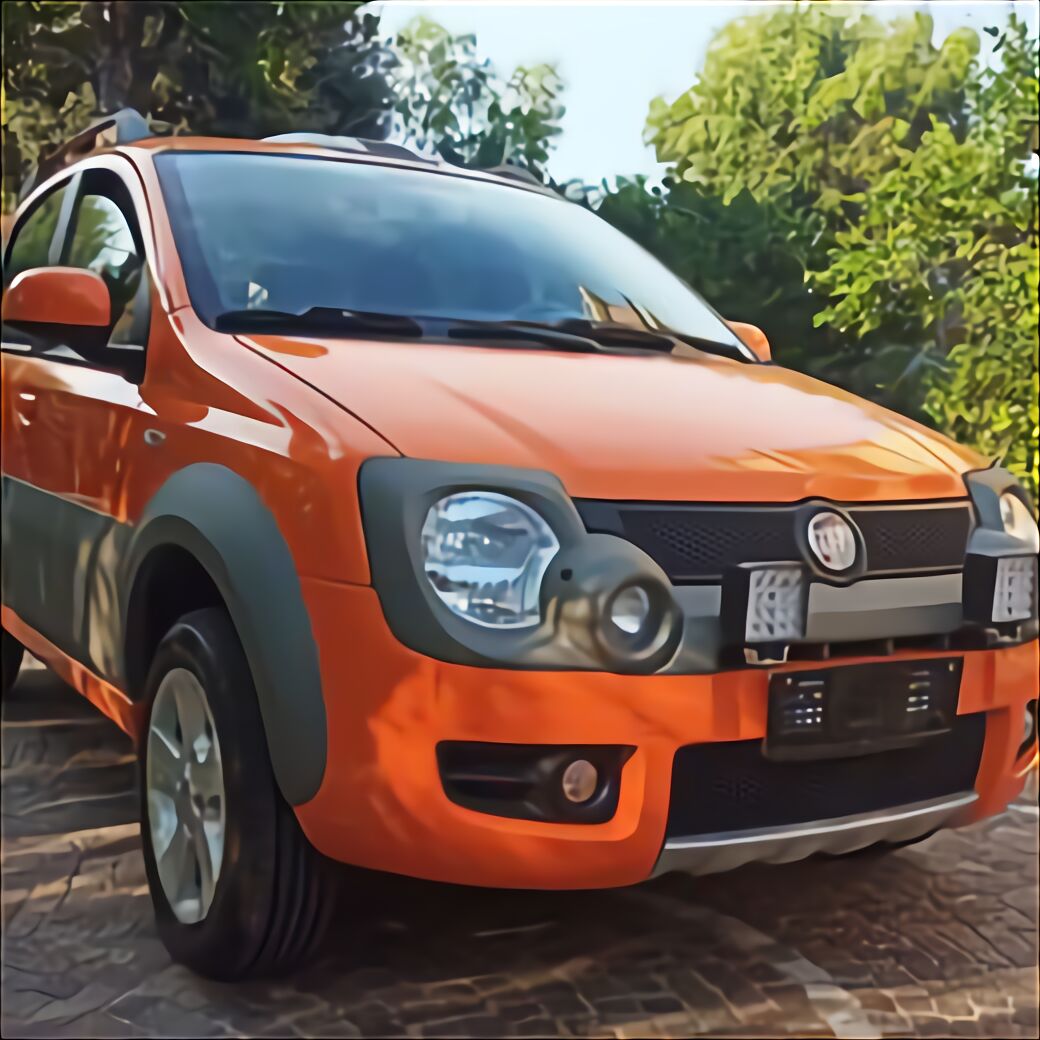 Fiat Panda 4X4 Diesel usato in Italia | vedi tutte i 87 prezzi!