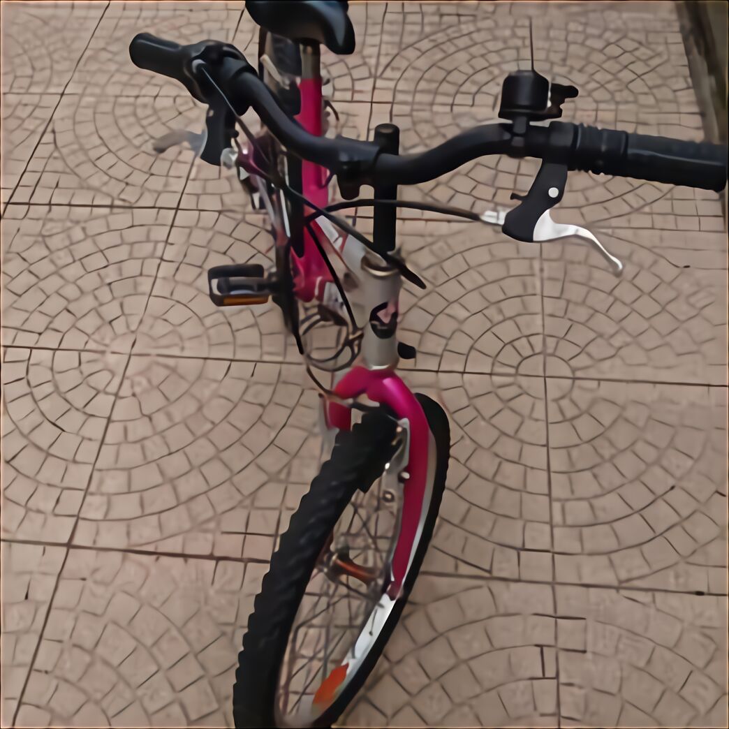 bicicletta bambina usata torino
