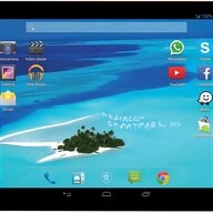 tablet intreeo usato